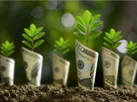 上半年國內、海外基金評比