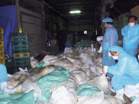 揭開Ｈ５Ｎ２疫情背後的五大荒謬