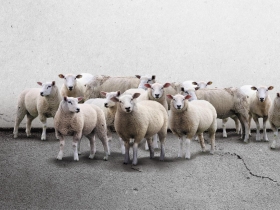 我是台勞，我來賺錢！