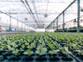 科技人自給自足實踐田園夢