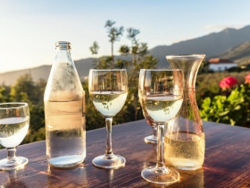 高ＣＰ值葡萄酒系列》費南德茲酒莊．珍藏斗羅酒 西班牙黃金酒區明星  盡顯丹魄之美