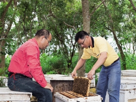 調一杯芳醇蜜飲 沁脾又養顏