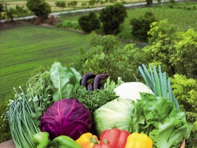 後山自然美味  城市搶鮮宅配