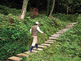 股市大贏家陳進郎的告白