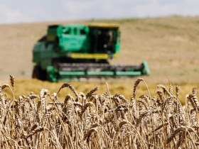 觀察產地氣候比期貨價格實用