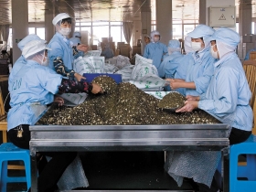 選「通路」、「品牌」雙重優勢股