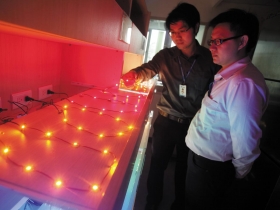 必備ＬＥＤ投資通勝祕笈