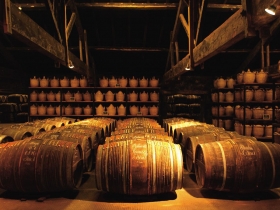 軒尼詩老酒新賣  成功抓住年輕人的心