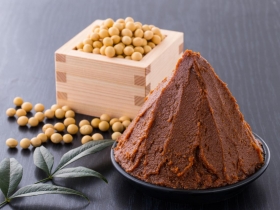 健康益菌  味噌