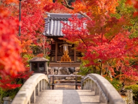 微涼秋意遊雙城