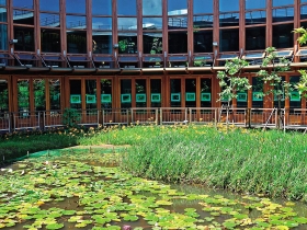 花卉  蟲鳴  秋陽  再探花博展覽美學