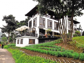 桃竹苗  田園的幸福時光