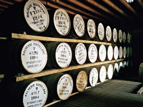 醉臥百富威士忌