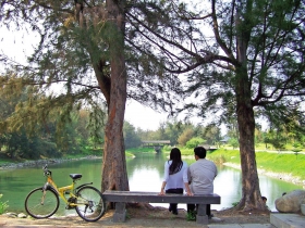 二鐵馳騁  徜徉花東山水