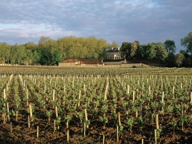 瑪歌用有限產量進軍亞洲的祕器