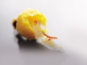 與米其林美食最近的距離