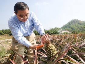 水果達人為台灣農民拚出新出路