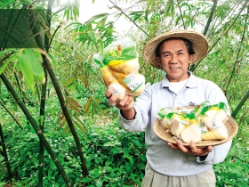 綠竹筍達人  種出米其林三星食材
