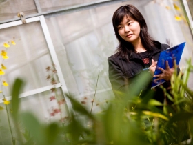 正確評估準備  無懼低錄取率