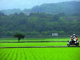 上萬名童泣：我好想上學