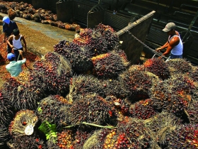 投資攻略二》資金逃殺 從金磚變重災區 新興市場股票基金 短期勿躁進 可留意亞洲市場