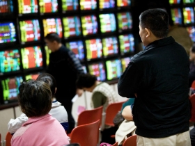 散戶自保四絕招  避開投資陷阱