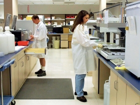 全球趨勢》美國法院判決 「基因」不能授權專利 兆元市場大餅 基因公司看得到吞不下