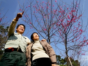 三錦囊妙計   化解○九年理財變數