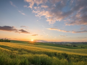 楊子葆：趕路人生會讓靈魂落後