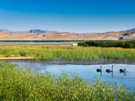 小生意搶救大生態