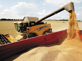 蕭碧燕：啟動五個月加碼計畫