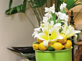 萊姆加百合  營造一室清涼與美麗