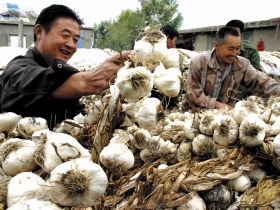 中國經濟「奇兵」招招致命