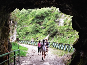 花蓮白楊步道 喜見水精靈洗滌心靈