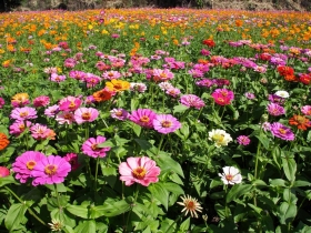 墾丁 國境之南追冬陽