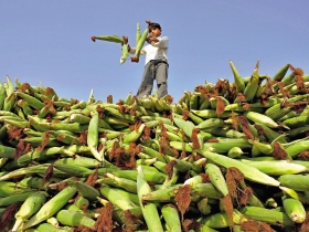 積極「抗漲」  為基金找到避風港