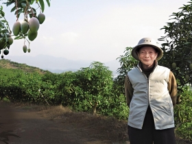 最棒的台灣人》愛文芒果之父把「檨仔」推上國際 鄭罕池 用五十年歲月 讓窮村種出億元奇蹟