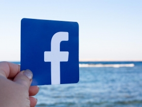 詐欺犯擁「臉書」84％股權？