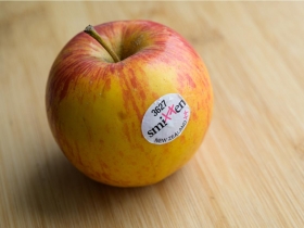 透視  水果密碼