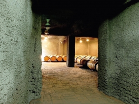 尋酒香、入酒莊、飲酒趣