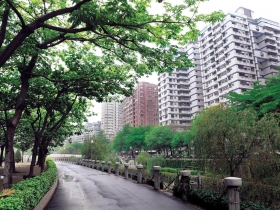 漫步河堤　遇見幸福