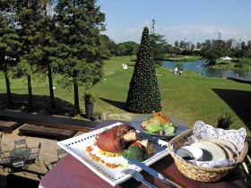 綠風草原 一家人奔馳的樂園