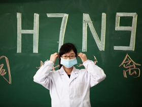 H7N9勤洗手、注意衛生習慣 禽流感不上身