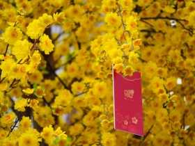 金牛年 台股投資寶典