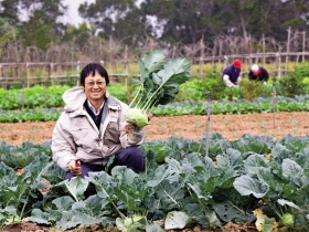 熱情原動力來自耕耘後的豐收
