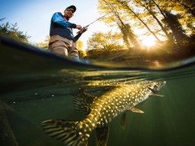 「忍耐」的威力比複利效果更驚人