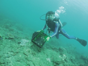 不一樣的公務員》復育萬株珊瑚 放流魚苗增數倍 張國亮 爆肝搏命打造海洋天堂