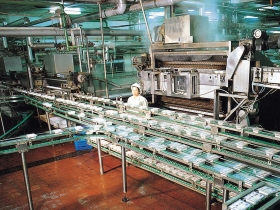 八檔優質冷門股 半年報馬力強