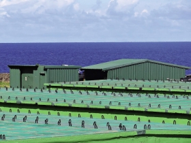 蘭嶼輻射破表 馬總統不願面對的真相