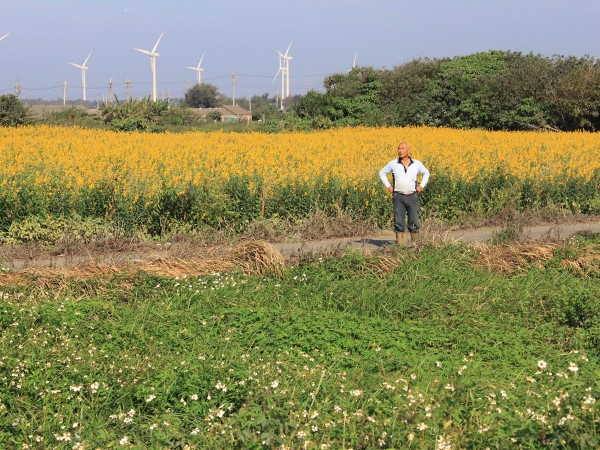 農地休耕補貼 肥到「養地」大戶? - 今周刊